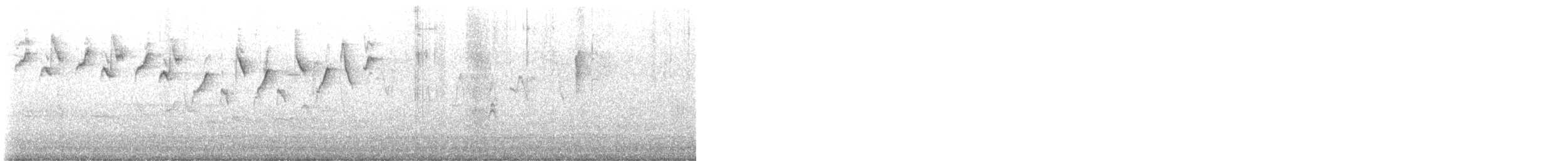 paruline sp. - ML621707405