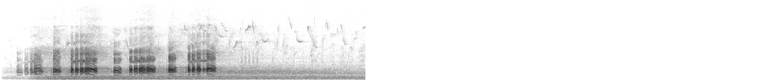 Black Bustard - ML621707564