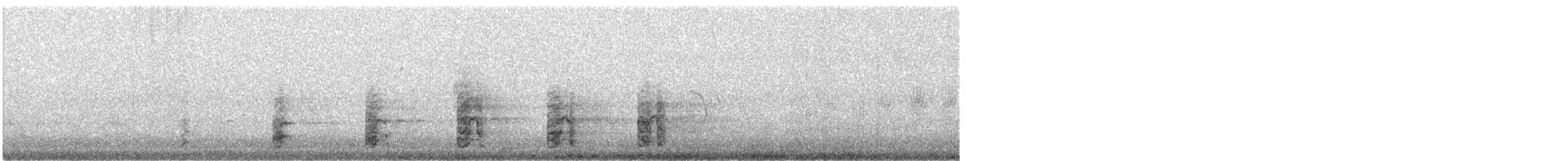 Black Bustard - ML621707715