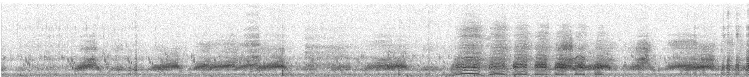 Canard à bec jaune - ML621707832