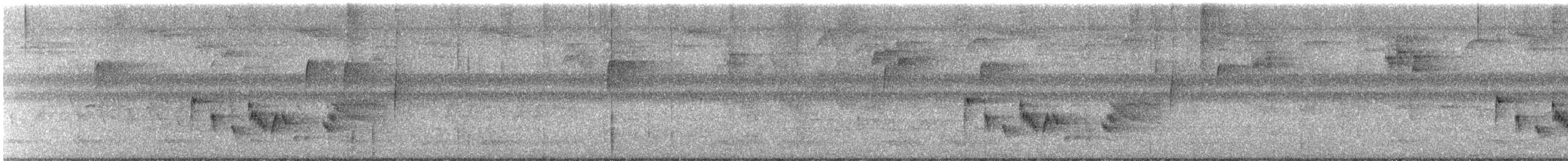 Weißaugenvireo - ML621708987