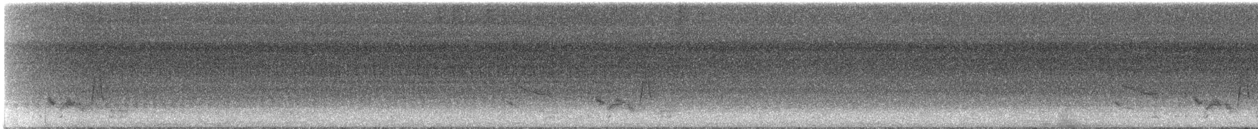 Weißaugenvireo - ML621708989