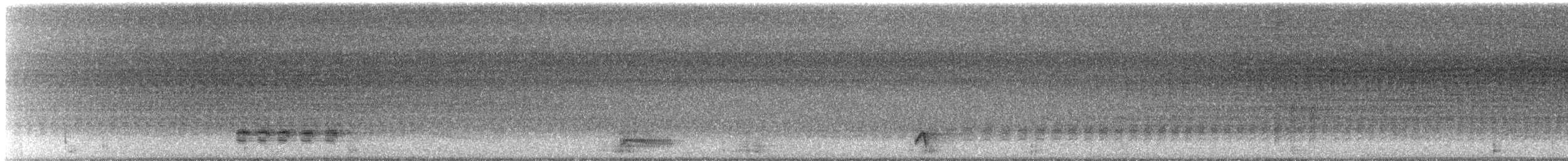 Flötenstärling - ML621709120