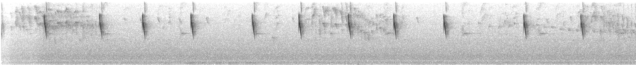 Violet Sabrewing - ML621709658