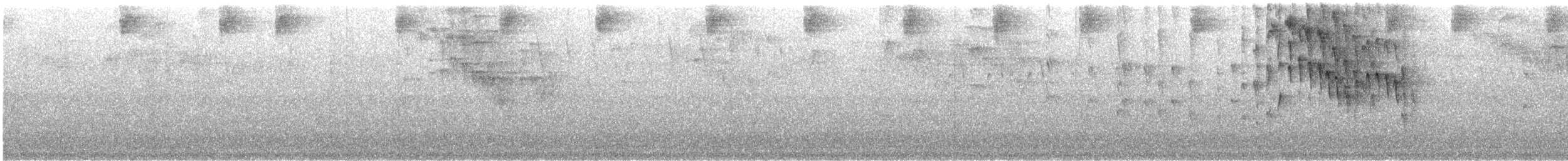 Common Chlorospingus (Middle American) - ML621709714