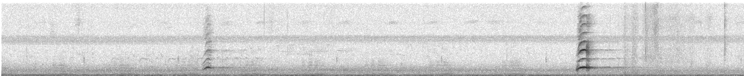 Black-crowned Night Heron - ML621711879
