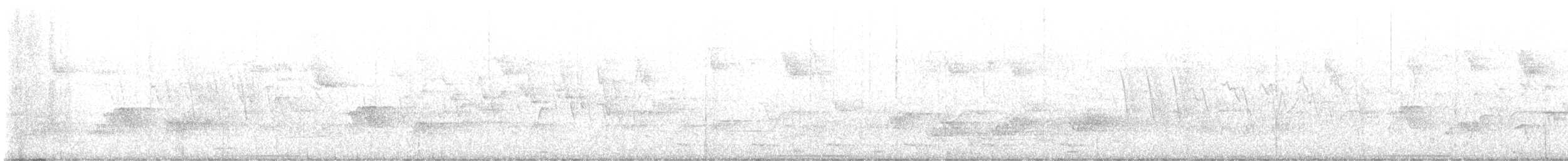 White-faced Quail-Dove - ML621713197