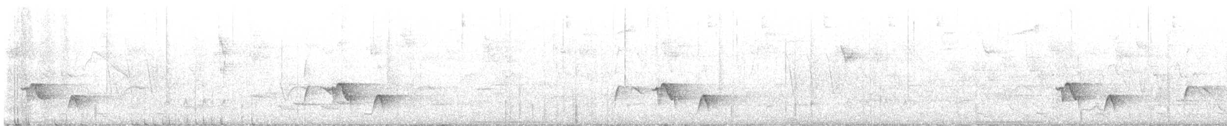 White-faced Quail-Dove - ML621713198