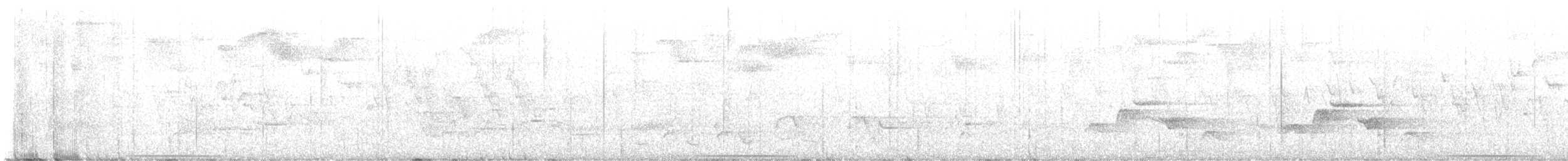 Weißgesichttaube - ML621713199