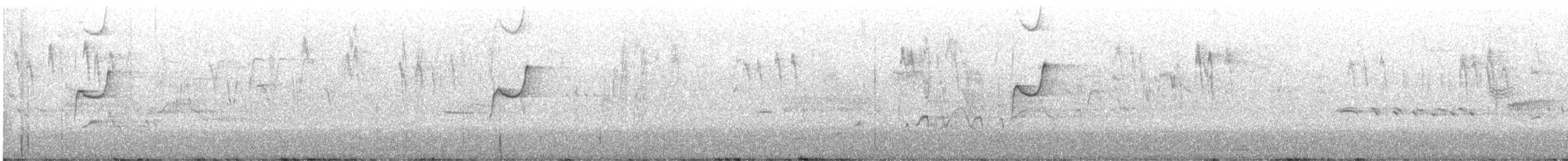 Western Flycatcher - ML621714789