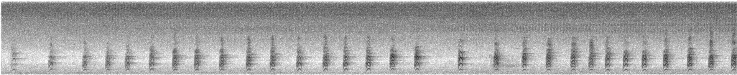 Schwarznacken-Stelzenläufer - ML621715531