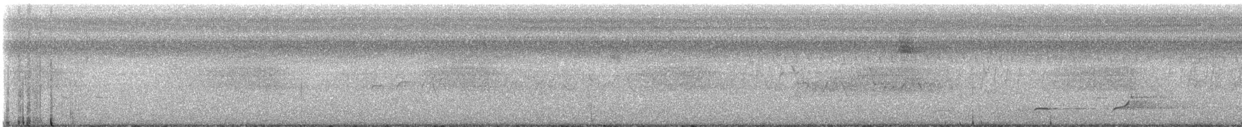 Northern Bobwhite - ML621717074