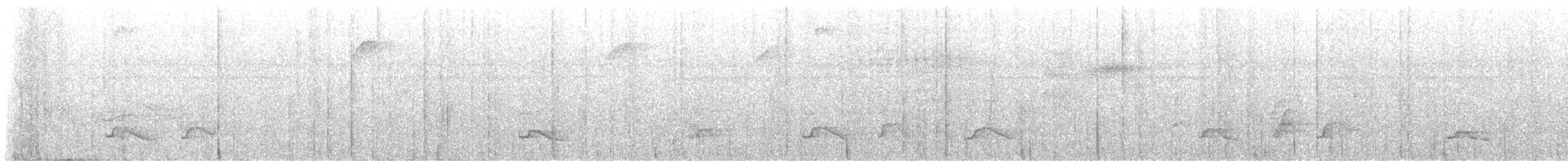 Long-tailed Manakin - ML621717891