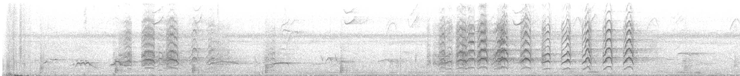 Pacific Parakeet - ML621717928