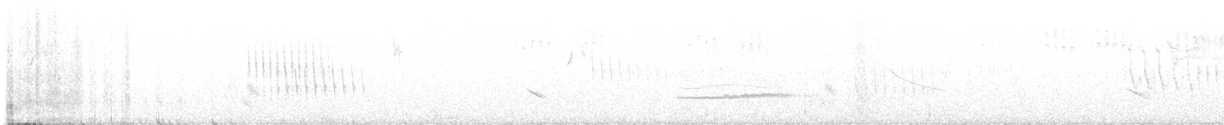 Ocellated Quail - ML621719343