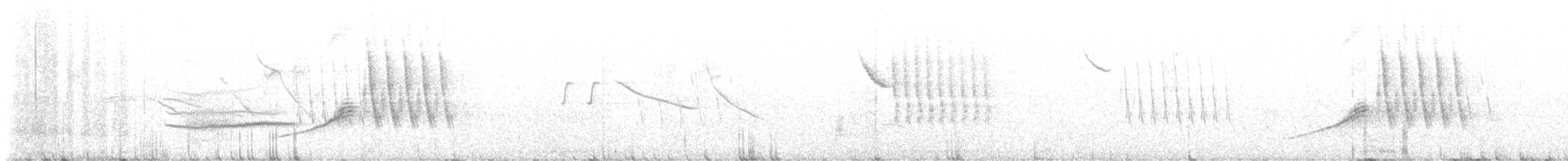 Ocellated Quail - ML621719344