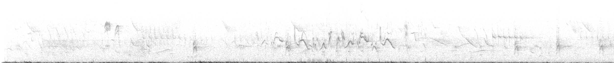 Yellow-rumped Warbler (Goldman's) - ML621719374