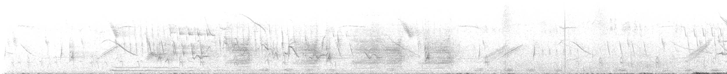 Pine Flycatcher - ML621719382