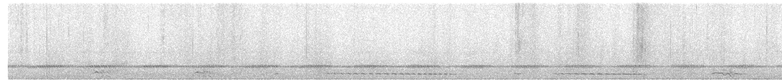 Western Screech-Owl - ML621723417