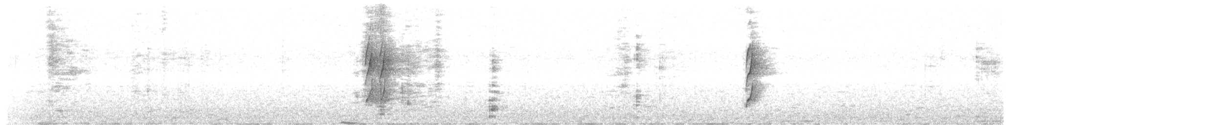 White-throated Spadebill - ML621724611