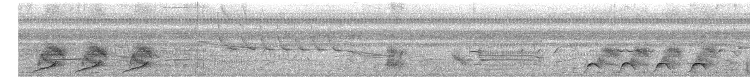 Black-capped Donacobius - ML621733057