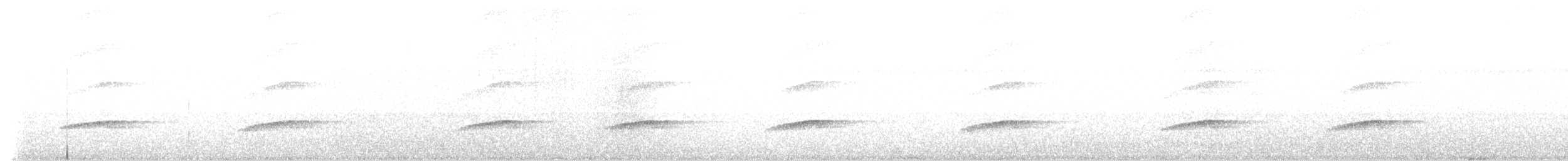 dvergkivi - ML621739047