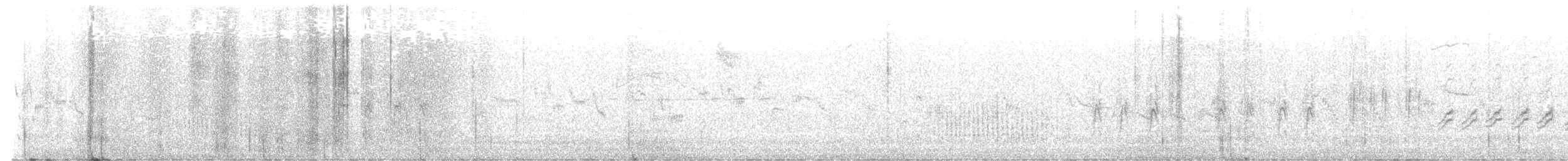 rákosník proužkovaný - ML621745074