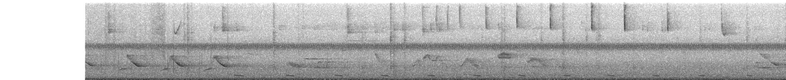 Schwirrammer - ML621749095