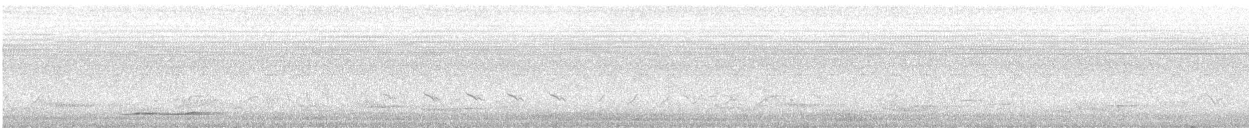 Thicket Tinamou - ML621754744
