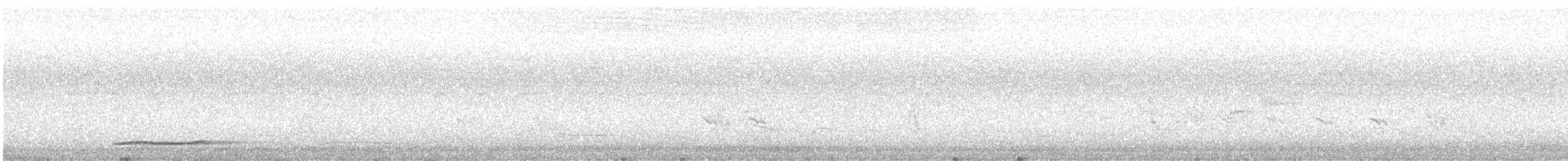 Thicket Tinamou - ML621754745