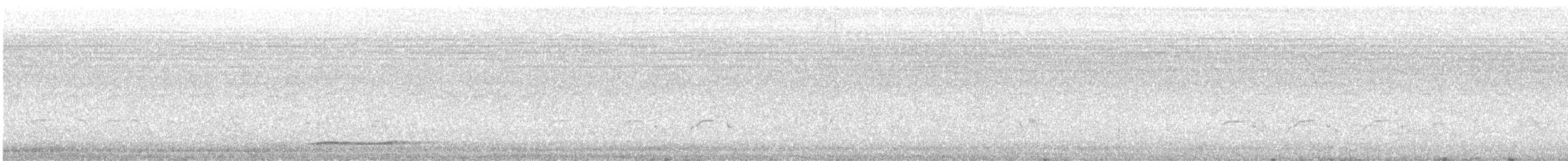 Thicket Tinamou - ML621754746
