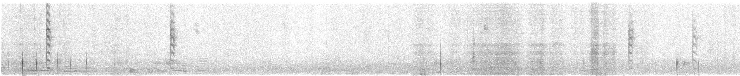 Бледнокрылый инка - ML621757137