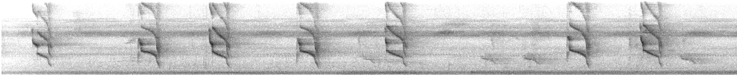 Social Flycatcher - ML621759218