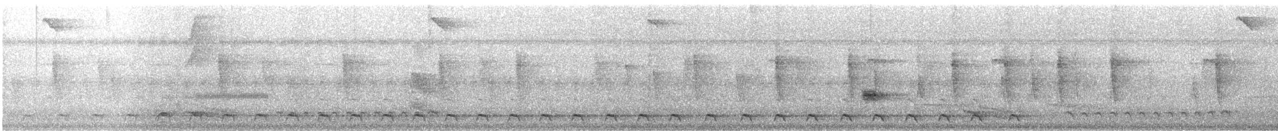 Gartered Violaceous Trogon - ML621760045