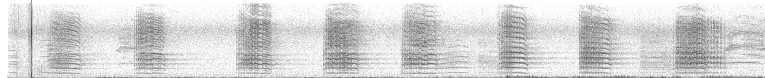 Red-tailed Black-Cockatoo - ML621770610