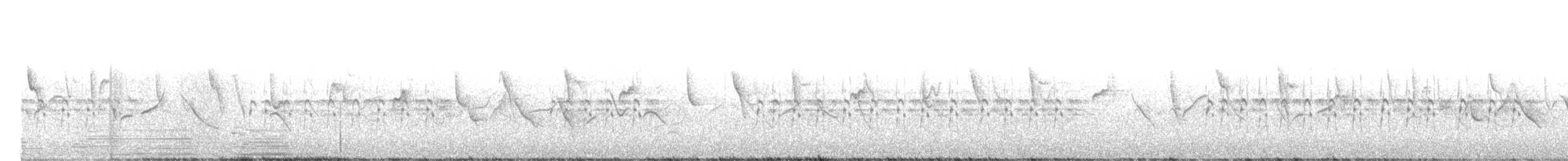 Ibisschnabel - ML621772142