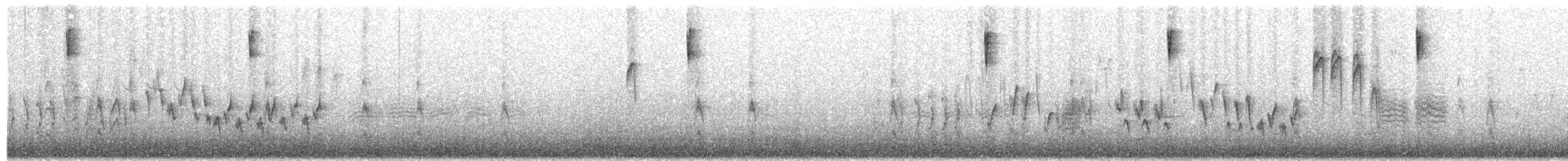 Northern House Wren (Northern) - ML621775289