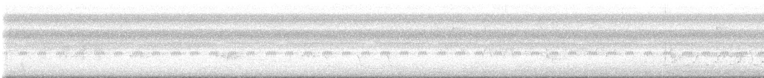 Carolina Wren - ML621776193