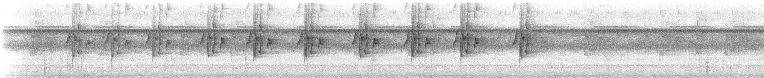 Great-billed Hermit - ML621777301