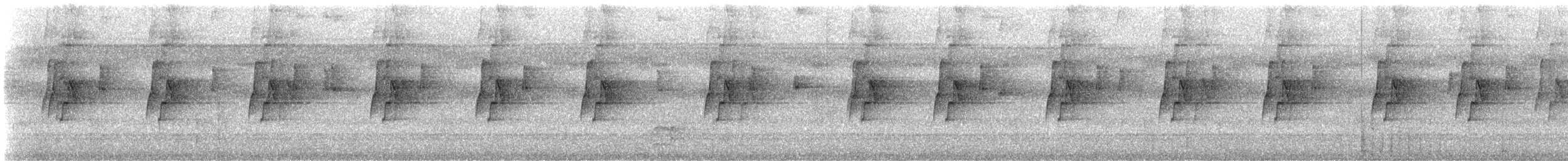 Great-billed Hermit - ML621777434