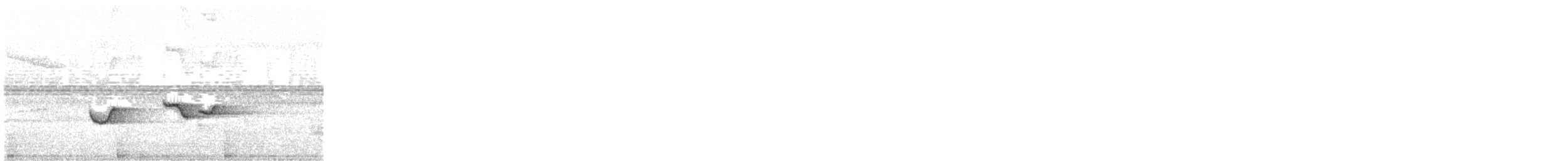 Neumann's Warbler - ML621786434