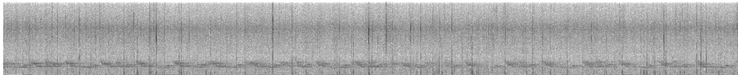 svartbrysttannvaktel - ML621786992
