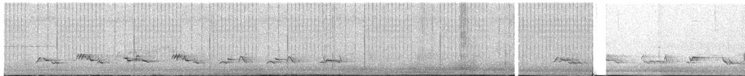 American Robin - ML621790226