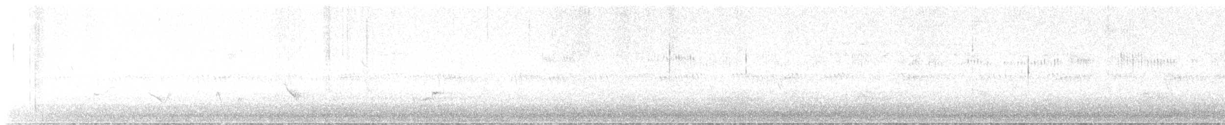 Broad-tailed Hummingbird - ML621792796