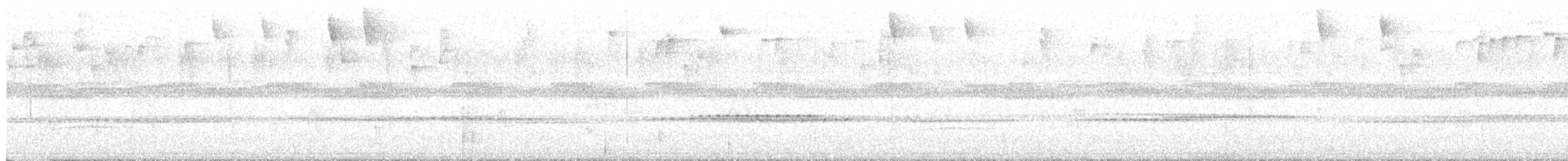 Santa Marta Tapaculo - ML621792902