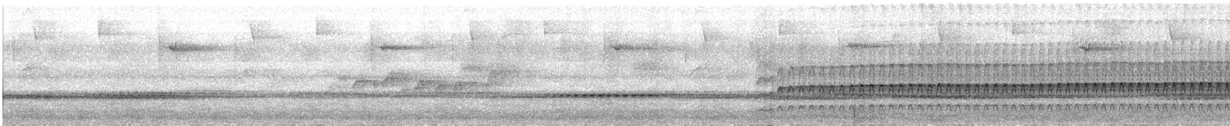 Santa Marta Tapaculo - ML621797220