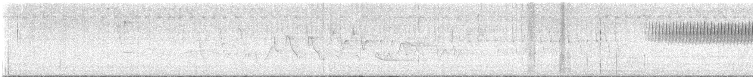 Worm-eating Warbler - ML621814448