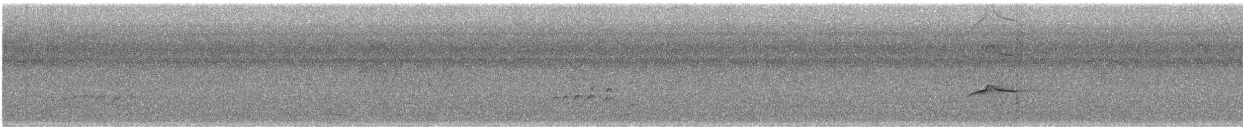 Piratic Flycatcher - ML621815414