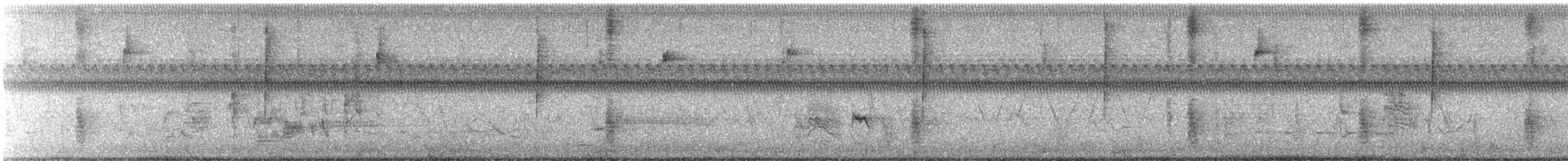 Weißaugenvireo - ML621819036