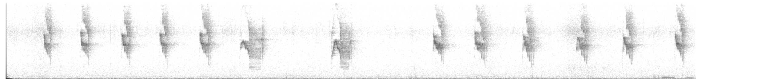 Dusky-tailed Antbird - ML621820713